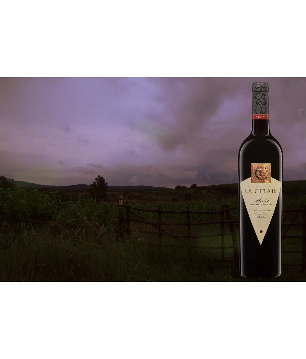 Oprișor Merlot 2019 – LA CETATE