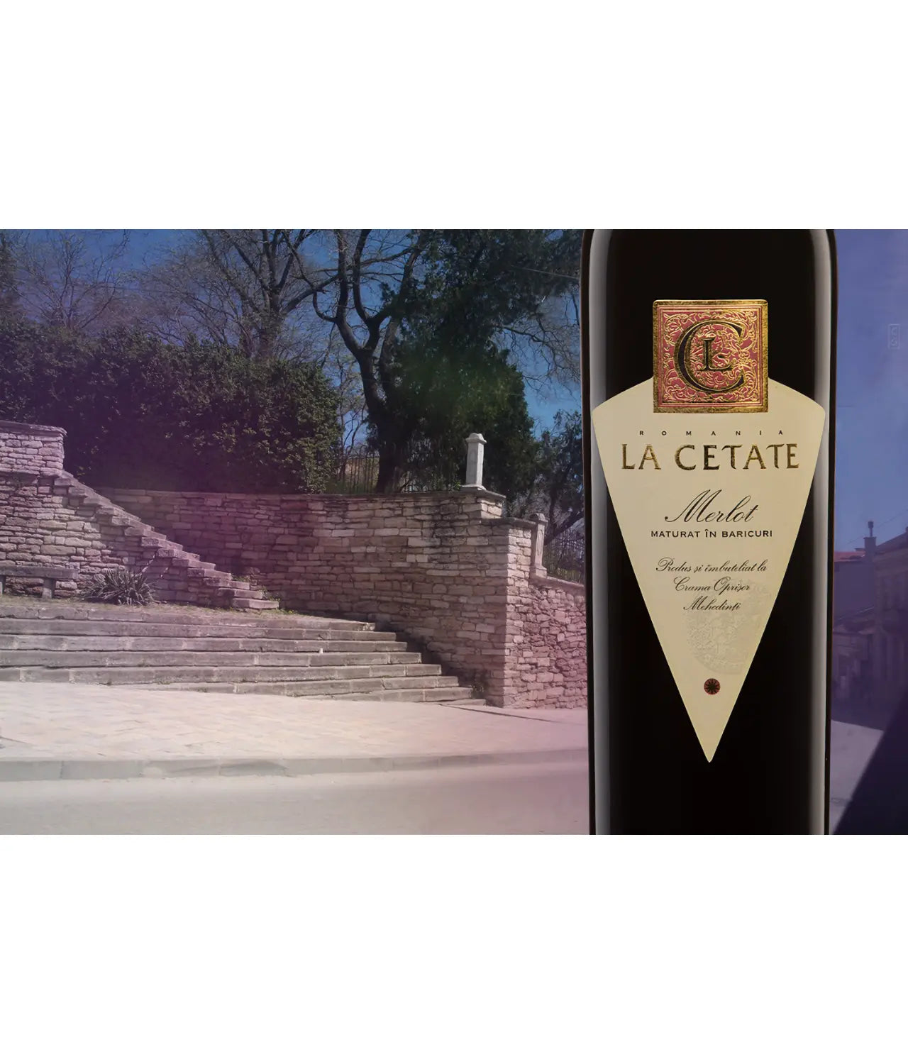 Oprișor Merlot 2019 – LA CETATE